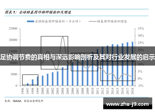 足协调节费的真相与深远影响剖析及其对行业发展的启示
