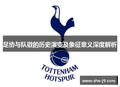 足协与队徽的历史演变及象征意义深度解析