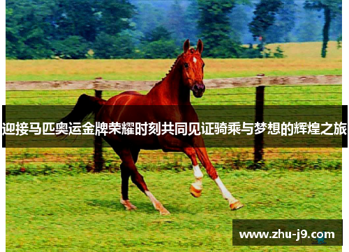 迎接马匹奥运金牌荣耀时刻共同见证骑乘与梦想的辉煌之旅