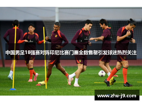 中国男足18强赛对阵印尼比赛门票全数售罄引发球迷热烈关注