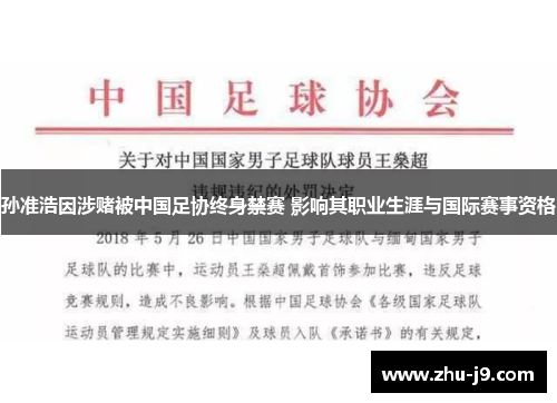 孙准浩因涉赌被中国足协终身禁赛 影响其职业生涯与国际赛事资格 孙准浩因涉赌被中国足协终身禁赛 影响其职业生涯与国际赛事资格